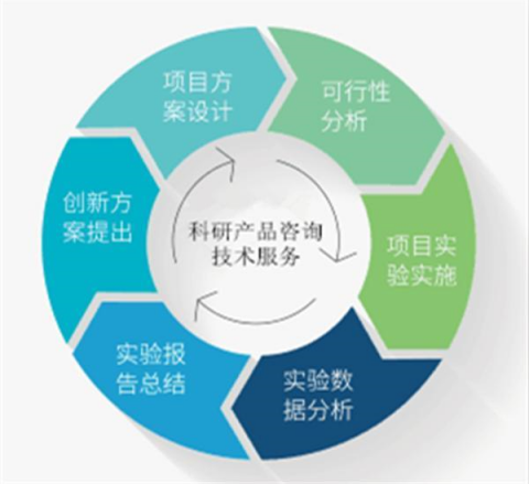 國產大鼠血小板因子4 ELISA檢測試劑盒技術指南 從實驗設計到數據分析